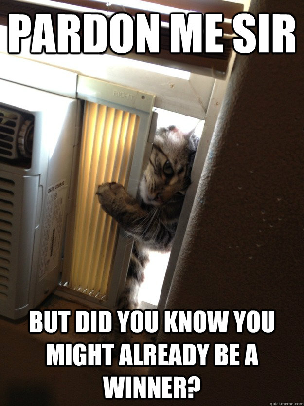 Pardon me sir But did you know you might already be a winner?  Jehovah Cat