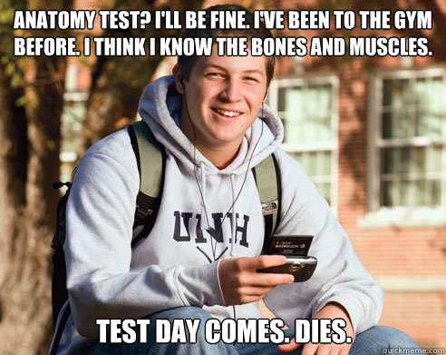 Anatomy test? I'll be fine. I've been to the gym before. I think I know the bones and muscles.  Test day comes. dies.  College Freshman