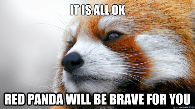 It is all ok Red Panda will be brave for you  Brave Red Panda