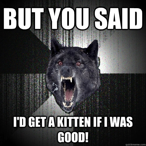 but you said i'd get a kitten if i was good!  Insanity Wolf