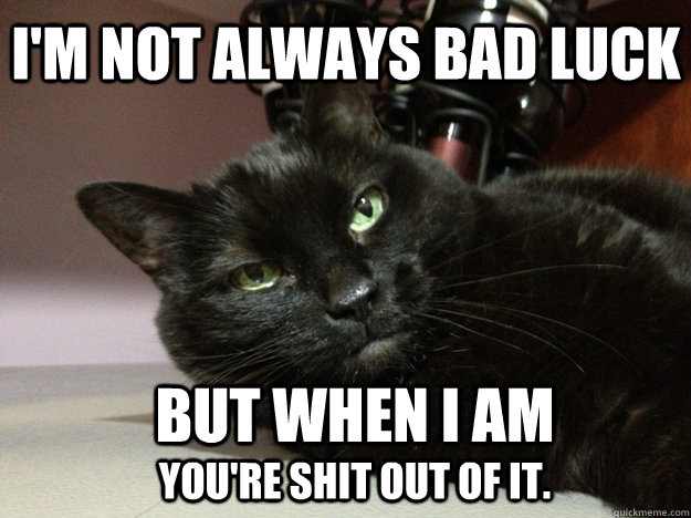 i'm not always bad luck but when i am you're shit out of it. - i'm not always bad luck but when i am you're shit out of it.  Friday the 13th Cat