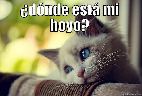 ¿DÓNDE ESTÁ MI HOYO?   First World Problems Cat