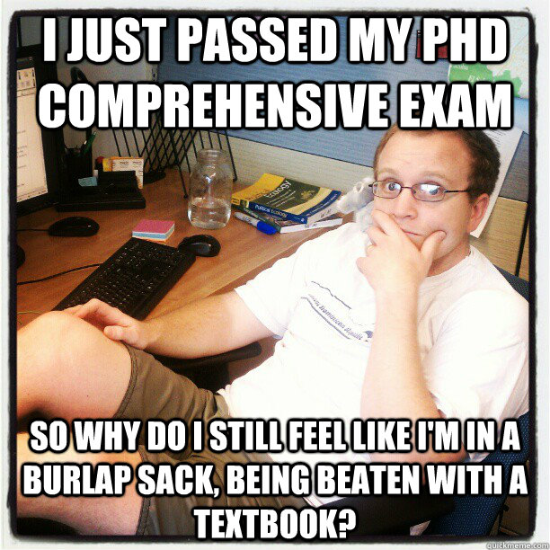 I just passed my phd comprehensive exam so why do i still feel like i'm in a burlap sack, being beaten with a textbook?  comps