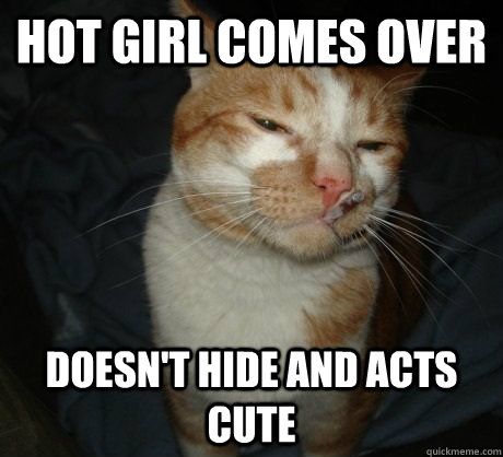 Hot girl comes over doesn't hide and acts cute  Good Cat Greg