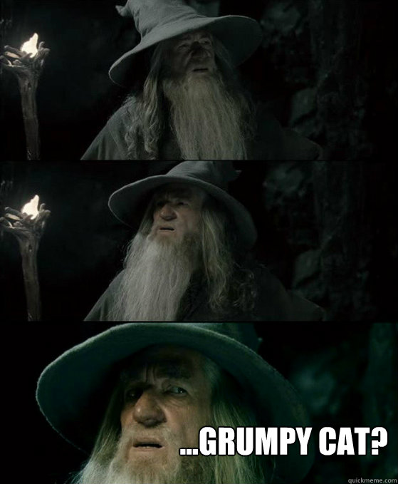 ...Grumpy Cat?  Gandalf September