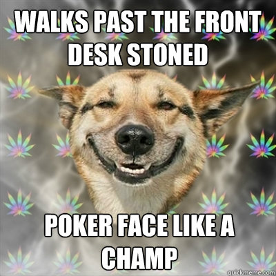 Walks past the front desk stoned  Poker face like a champ  Stoner Dog