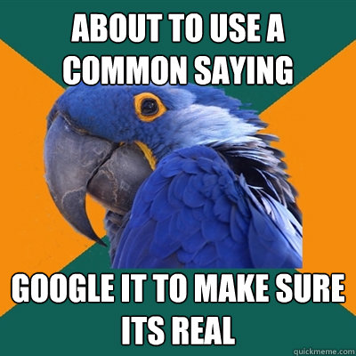 About to use a common saying Google it to make sure its real  Paranoid Parrot