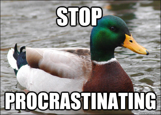 Stop procrastinating   Actual Advice Mallard
