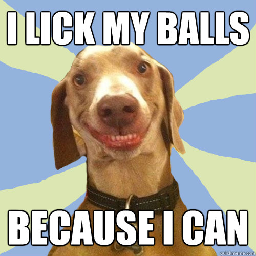 I lick my balls because i can Disgusting Doggy. comments. 