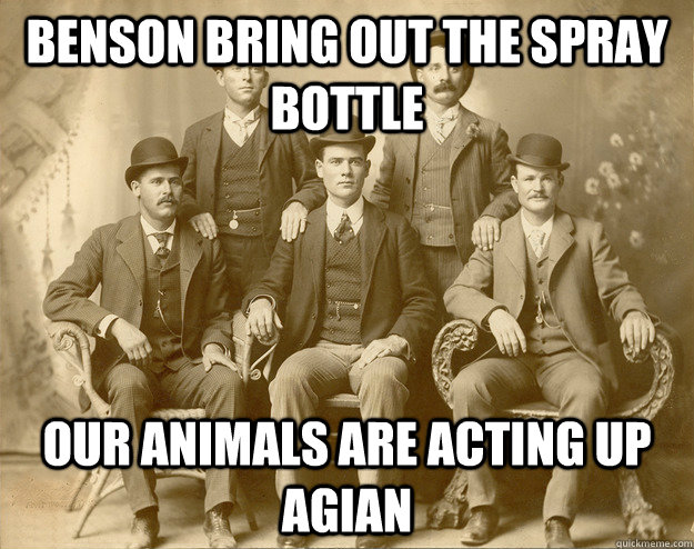 Benson bring out the spray bottle our animals are acting up agian - Benson bring out the spray bottle our animals are acting up agian  Misc
