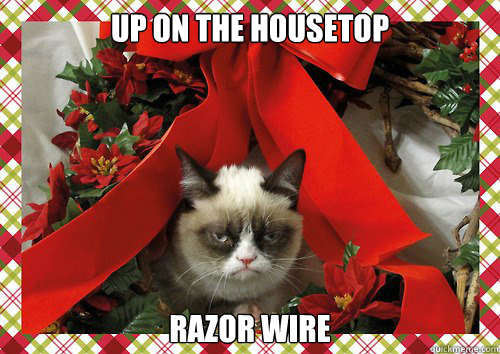 up on the housetop razor wire   A Grumpy Cat Christmas