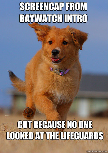 Screencap from Baywatch intro Cut because no one looked at the lifeguards  Ridiculously Photogenic Puppy