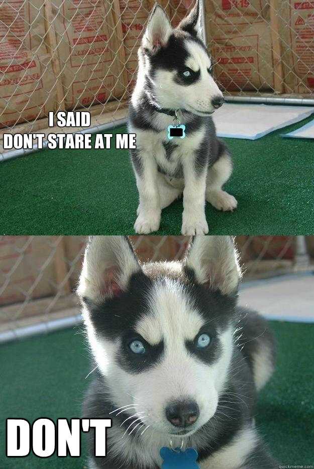 I said
Don't stare at me DON'T  Insanity puppy
