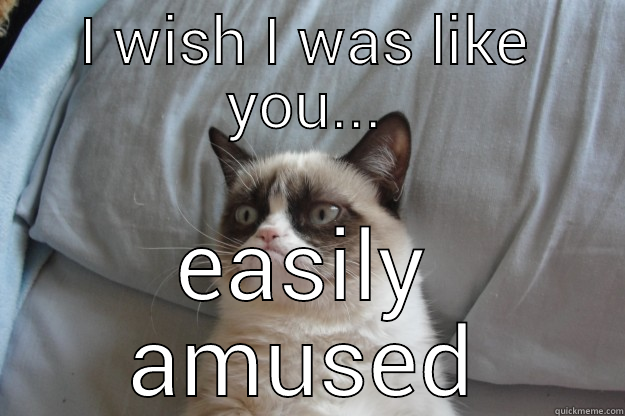 I WISH I WAS LIKE YOU... EASILY AMUSED Grumpy Cat