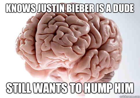 Knows Justin bieber is a dude Still wants to hump him   Scumbag Brain