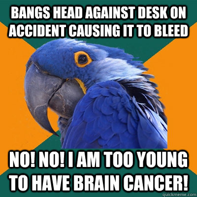 Bangs head against desk on accident causing it to bleed No! NO! I am too young to have brain cancer! - Bangs head against desk on accident causing it to bleed No! NO! I am too young to have brain cancer!  Paranoid Parrot