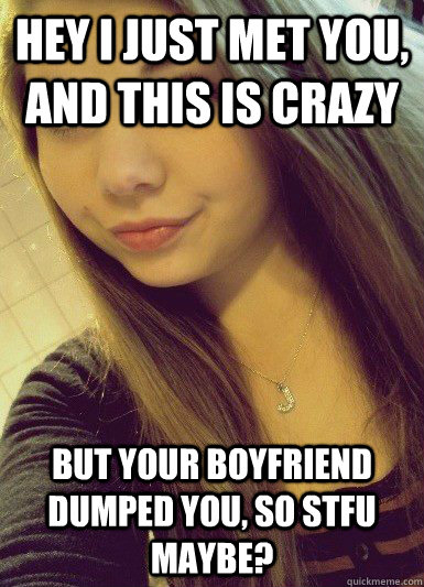 Hey I just met you, and this is crazy But your boyfriend dumped you, SO STFU maybe?  celine de bleitere