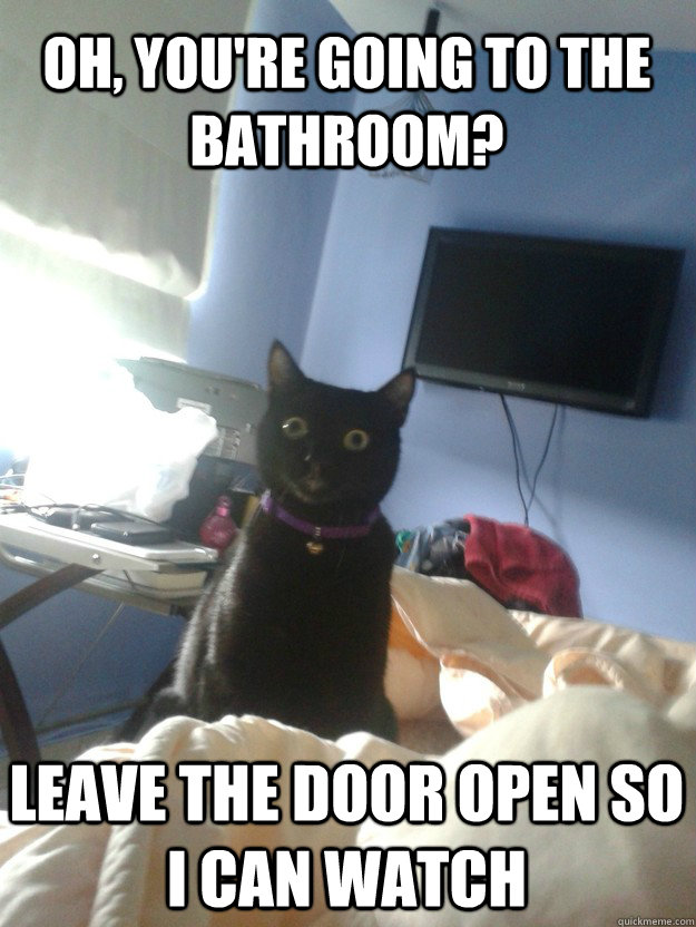 oh, you're going to the bathroom? leave the door open so i can watch  overly attached cat