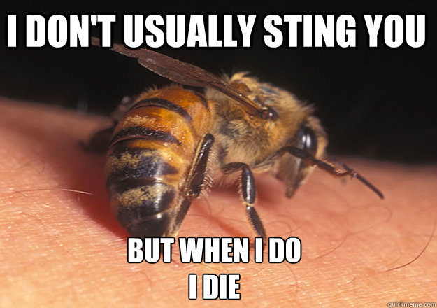 I don't usually sting you but when i do
I die  Scumbag honey bee