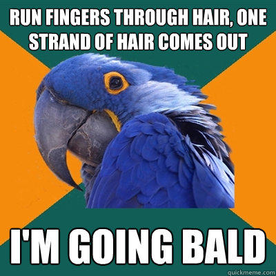 run fingers through hair, one strand of hair comes out I'm going bald  Paranoid Parrot