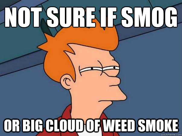 not sure if smog or big cloud of weed smoke  Not sure Fry