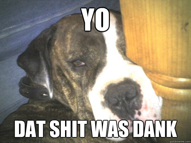 YO dat SHIT WAS DANK  