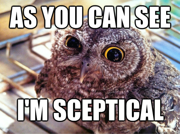 as you can see I'm sceptical  Skeptical Owl