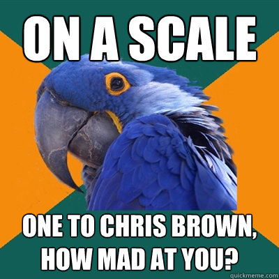 on a scale one to chris brown, how mad at you?  Paranoid Parrot