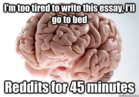 I'm too tired to write this essay, I'll go to bed Reddits for 45 minutes   Scumbag Brain