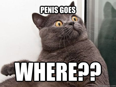 Penis goes WHERE??  conspiracy cat