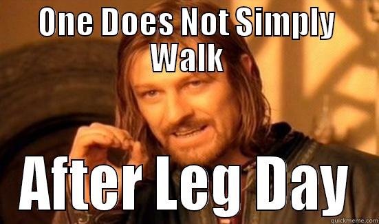 ONE DOES NOT SIMPLY WALK AFTER LEG DAY Boromir
