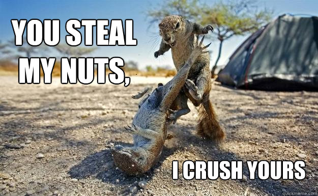 you steal my nuts i crush yours squirrelfight quickmeme