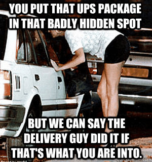 You put that UPS package in that badly hidden spot But we can say the delivery guy did it if that's what you are into. - You put that UPS package in that badly hidden spot But we can say the delivery guy did it if that's what you are into.  Karma Whore
