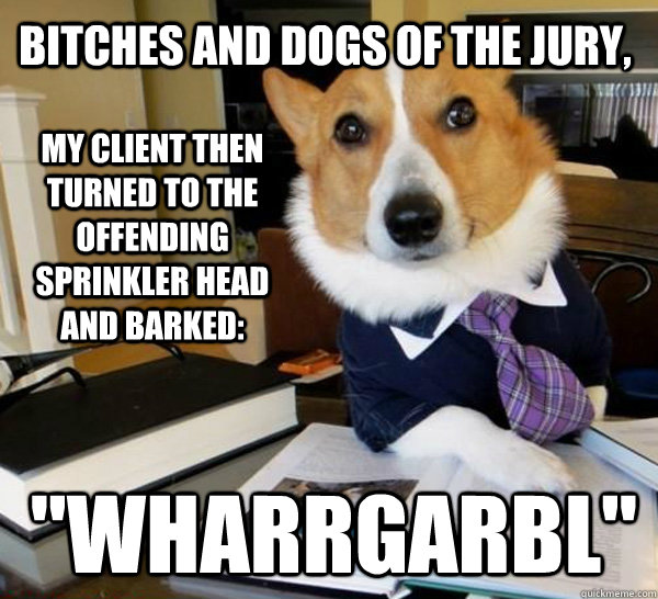 My client then turned to the offending sprinkler head and barked: 