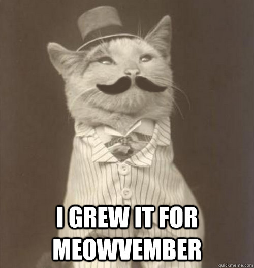  I grew it for meowvember  Original Business Cat