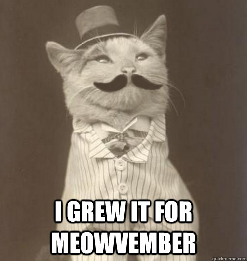  I grew it for meowvember -  I grew it for meowvember  Original Business Cat