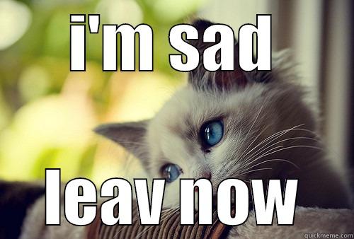 I'M SAD LEAV NOW First World Problems Cat