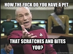 How the fuck do you have a pet that scratches and bites you?  Annoyed Picard