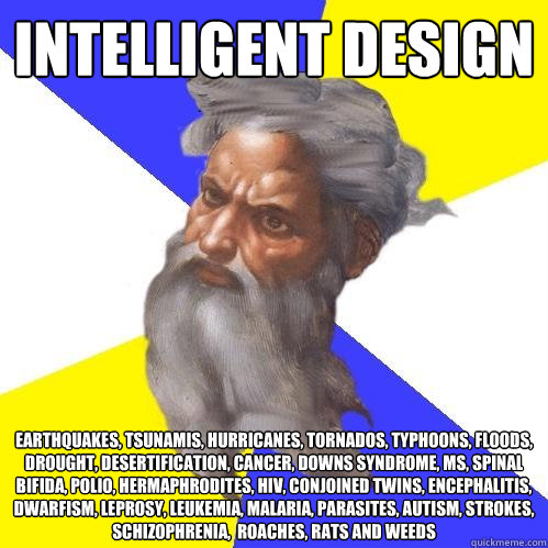 intelligent design earthquakes, tsunamis, hurricanes, tornados, typhoons, floods, drought, desertification, cancer, downs syndrome, MS, spinal bifida, polio, hermaphrodites, HIV, conjoined twins, encephalitis, dwarfism, leprosy, leukemia, malaria, parasit  Advice God
