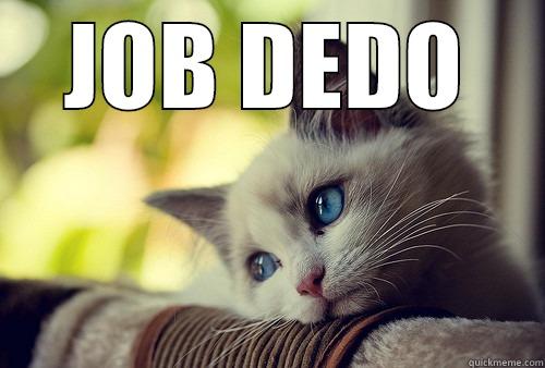 unfunny job situation - JOB DEDO  First World Problems Cat