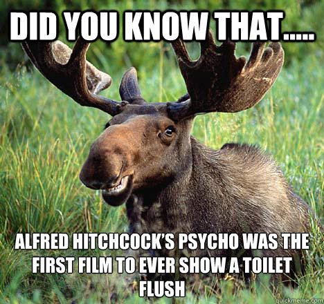 Did you know that..... Alfred Hitchcock’s Psycho was the first film to ever show a toilet flush - Did you know that..... Alfred Hitchcock’s Psycho was the first film to ever show a toilet flush  Movie Trivia Moose