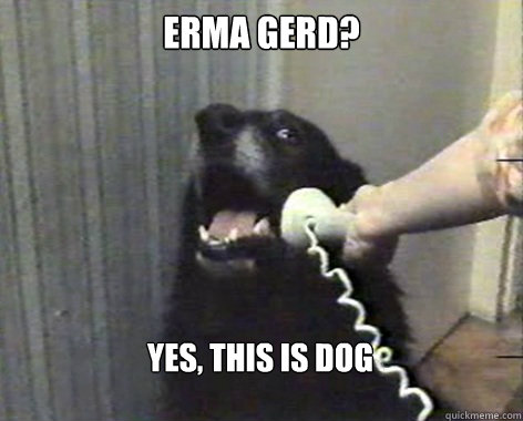 ERMA GERD? Yes, this is Dog - ERMA GERD? Yes, this is Dog  yes this is dog