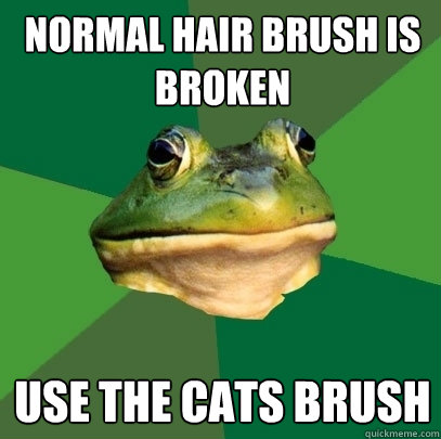 normal Hair brush is broken use the cats brush  Foul Bachelor Frog