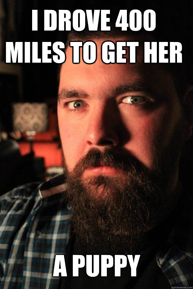 I drove 400 miles to get her A puppy  Dating Site Murderer