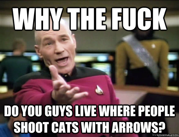why the fuck Do you guys live where people shoot cats with arrows?  Annoyed Picard HD