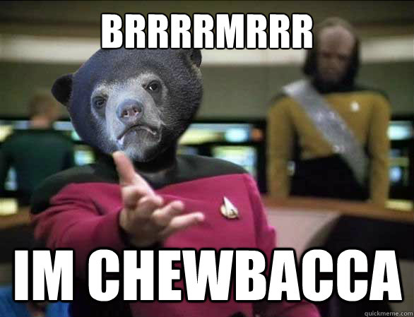 BRRRRMRRR   Im Chewbacca - BRRRRMRRR   Im Chewbacca  Annoyed Confession Bear