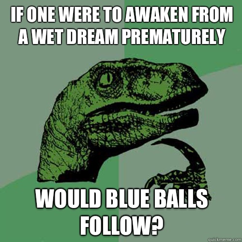 If one were to awaken from a wet dream prematurely Would blue balls follow? - If one were to awaken from a wet dream prematurely Would blue balls follow?  Philosoraptor
