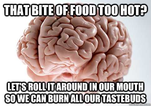 That bite of food too hot? let's roll it around in our mouth so we can burn all our tastebuds  Scumbag Brain
