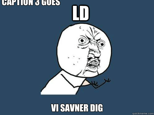 LD Vi savner dig  Caption 3 goes here  Y U No