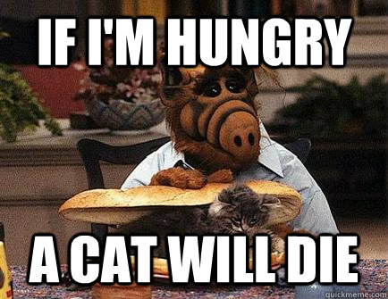 IF I'M HUNGRY A CAT WILL DIE  Alf Cat Killer